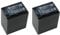 Trade-Shop Lot de 2 Batteries Li-ION Compatible avec Sony NP-FH70 NP-FH100 NP-FP-30 NP-FP-50 NP-FP-51 NP-FP-60 NP-FP-61 NP-FP-70 NP-FP-71 FP-90 NP-FP-91 NP-FH-30 3600 mAh