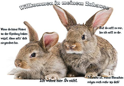 Merchandise for Fans Blechschild/Warnschild/Fun Türschild - Willkommen in Meinem Zuhause - Motiv: Kaninchen Zwei Tiere nebeneinander - 03