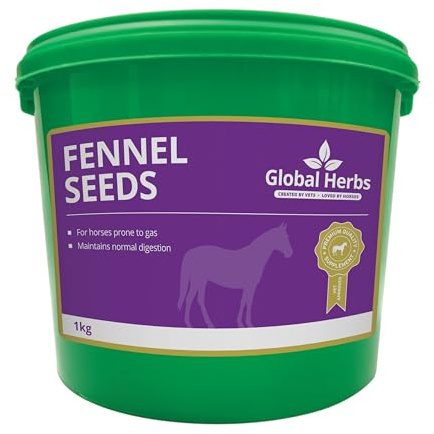 Global Herbs Fennel Seeds Equine Digestive Comfort & Gas Support