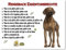 Merchandise for Fans Blechschild/Warnschild/Türschild - Aluminium - 15x20cm Eigentumsrechte Motiv: Rhodesian Ridgeback (01)
