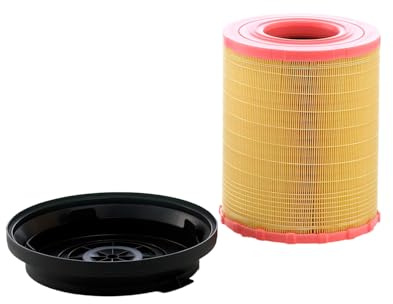 MANN-FILTER C 29 010 KIT Luftfilter