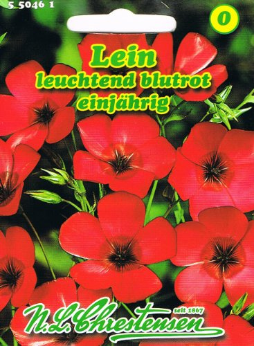 Lein Linum grandiflorium rubrum