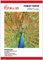 Maxi 100 Blatt A4 Glossy 230gsm Fotopapier Work zu Allee Inkjet Drucker