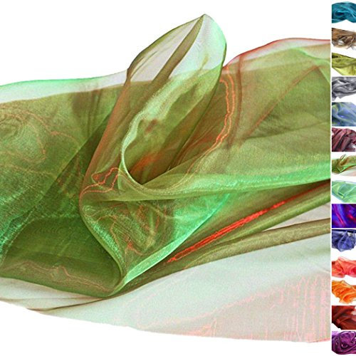 TOLKO 1m Organza Stoffe zum Nähen Meterware | Hauch Zart, Fein, Durchsichtig | zum Dekorieren Basteln 145cm breit | leichter Glanz Stoff für Gardine Vorhänge Tischdecken Deko Schals (Grün Rot)