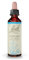 FLEURS DE BACH ORIGINAL - Vervain No 31 - Pour plus de modération - Aide à être plus tempéré dans ses interactions - Élixir floral naturel pour le bien-être émotionnel - Compte-Gouttes 20ml - Vegan
