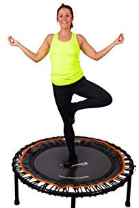 FIT Bounce PRO Bungee-Trampolin Patentvergabe | Faltbar, Leise, Schön Konstruiert Professionelles Minitrampolin für Erwachsene & Kinder | Inklusive DVD Online Workouts | Maximalgewicht 150kg