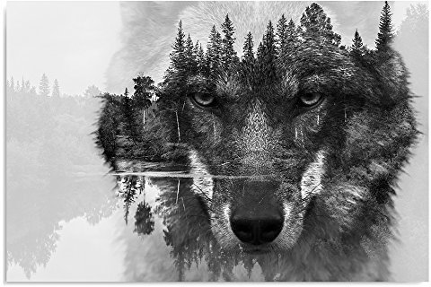 Feeby Impression Sur Toile Loup 100x50 cm Tableaux Tableau Mural Image Moderne Photo Décoration Murale Artistique Photographie Design Chambre Salon Cuisine Noir Et Blanc