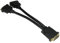 World of Data DVI-D Splitter Cable Adapter - Duplicate your image on TWO displays