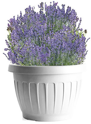 Bama Nässestop S18 Earth Pot pour Plantes 40 x 26 x 30 cm