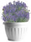 Bama Nässestop S18 Earth Pot pour Plantes 40 x 26 x 30 cm