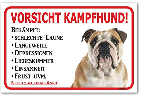 AdriLeo Schild - Vorsicht Englische Bulldogge - Kampfhund - (20x30cm) / Achtung Hund Wachhund robust langlebig UV-beständig wetterfestes Warnschild