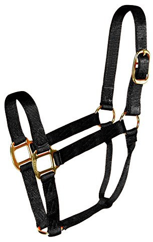 Halfter Qlty Econo schwarz