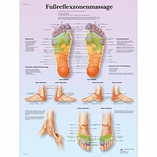 3B Scientific Lehrtafel laminiert - Fußreflexzonenmassage, 50 x 67 cm
