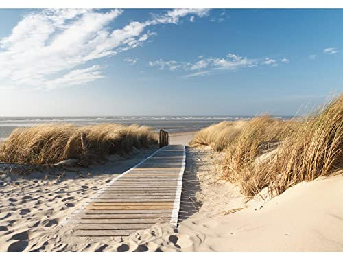 Runa Art Fototapete Strand und Meer 352 x 250 cm Vlies Tapeten XXL Moderne Wandtapete Wohnzimmer Schlafzimmer Braun Blau 9008011b