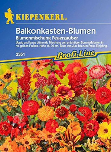 Kiepenkerl Balkonkastenblumen Mischung (Balkonkastenblumen Feuerzauber) 0-0cm / 1 Packung (Blumenzwiebeln, Sommerblüher (Aussaat im Frühjahr))