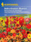 Kiepenkerl Balkonkastenblumen Mischung (Balkonkastenblumen Feuerzauber) 0-0cm / 1 Packung (Blumenzwiebeln, Sommerblüher (Aussaat im Frühjahr))