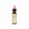 Bach Original Flower Remedies Walnut, Stand Your Ground, Accept Change, Emotional Wellness, Natural Flower Essence, 10ml