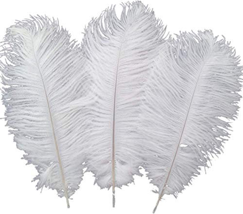 Sowder 10pcs Strauß-Federn 12-14inch (30-35cm) für Haupthochzeits-Dekoration (weiß)