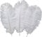 Sowder 10pcs Strauß-Federn 12-14inch (30-35cm) für Haupthochzeits-Dekoration (weiß)