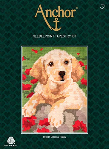 Anchor Stitch kit Gobelin-Stickset, 100% Baumwolle, Mehrfarbig, 18x14cm