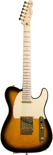 Fender Richie Kotzen Telecaster Ahorn Griffbrett E-Gitarre Braun Sunburst 0255202532