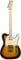 Fender Richie Kotzen Telecaster Ahorn Griffbrett E-Gitarre Braun Sunburst 0255202532