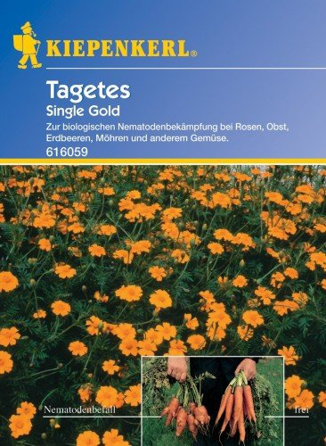 Nematodenkiller-Tagetes Single Gold (gegen Nematoden)
