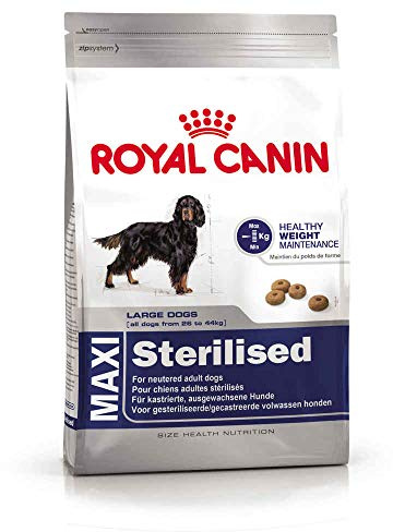 ROYAL CANIN (ROYBJ) Hundefutter Maxi Sterilised, 1er Pack (1 x 3 kg)