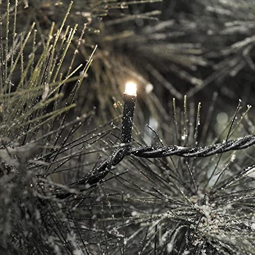 Konstsmide 3610-110 Micro LED Lichterkette / für Außen (IP44) / 24V Außentrafo / 40 warm weiße Dioden / schwarzes Kabel