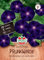 Kiepenkerl Blumensamen Prunkwinde (Ipomoea) blau Star, grün