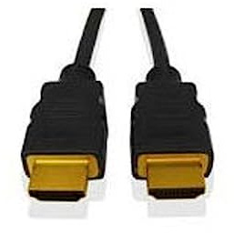 Fujitsu S26391-F6055-L250 HDMI auf DVI-D Kabel