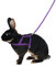 Kerbl Pet Schultergeschirr Agility mit Leine, 2m, lila, L