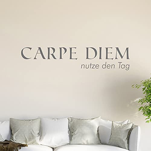 Carpe Diem Wandtattoo in 6 Größen - Wandaufkleber Wall Sticker - Dekoration, Küche, Wohnzimmer, Schlafzimmer, Badezimmer
