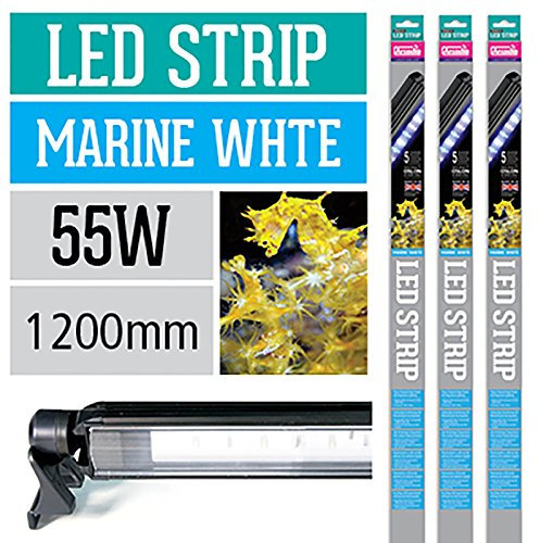Arcadia LED Leuchte Series 5 Strip Marine White 55 Watt 1200mm Aquarien Aquarium Beleuchtung