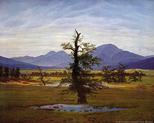 1art1 Caspar David Friedrich Poster Der Einsame Baum, 1822 Kunstdruck Bild 50x40 cm