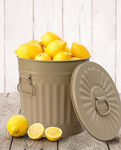 Jinfa | Cubo de basura de metal galvanizado con asas y tapa | Beige | Diámetro Ø 29 cm - Altura 31,5 cm | Capacidad: 18 litros