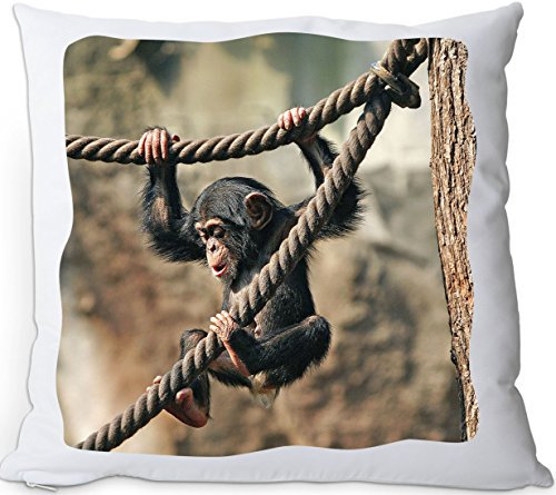 Nanyuk +++ AFFE Schimpanse - Kuschelkissen/Kissen | Pillow/Kussen - AFE 02