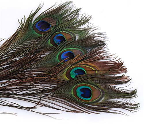 ERGEOB Pfauenfedern 25-30cm/ 10-12 Zoll Länge Naturfedern für Karneval Rosen Montag Halloween Fest Basteln Diko usw.