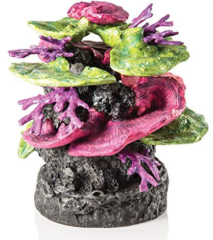 biOrb Coral Cresta Verde-Morado