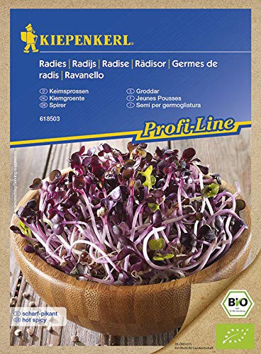 BIO Keimsprossen Radieschen Rot