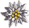 DECO DIRECT