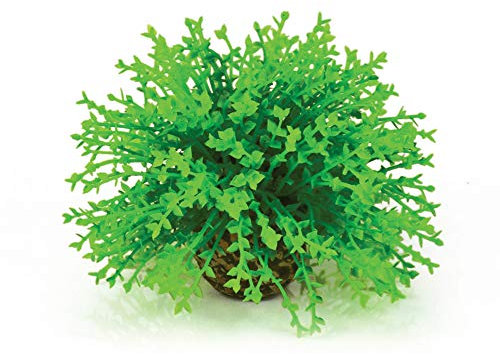 biOrb 46087 Blumenball, grün - naturnahe Aquarien-Dekoration / für alle biOrb Aquarien geeignet