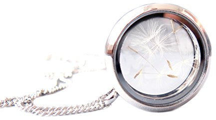 Ladyville Halskette Pusteblume im Medaillon aus Edelstahl Glücksbringer Geschenk für Frauen