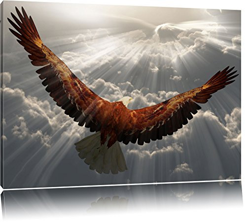 Pixxprint Adler über den Wolken, Größe: 120x80cm, Leinwandbild, fertig gespannt, Wandbild, Dekoration, Kunstdruck, kein Poster