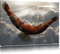 Pixxprint Adler über den Wolken, Größe: 120x80cm, Leinwandbild, fertig gespannt, Wandbild, Dekoration, Kunstdruck, kein Poster