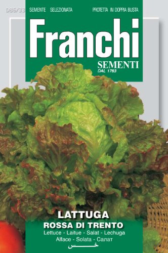 Franchi Lettuce Rossa of Trento