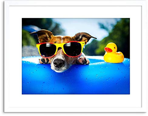 Wee Blue Coo Photo Jack Russell Beach Dog Rubber Duck Art Print Framed Poster Wall Decor 9x7 inch