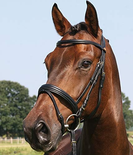 Hans Melzer Horse Equipment Trense Bad Harzburg, schwarz/messing, Pony