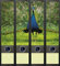 File Art AJ018 Design Etiketten Ordnerrückenschilder