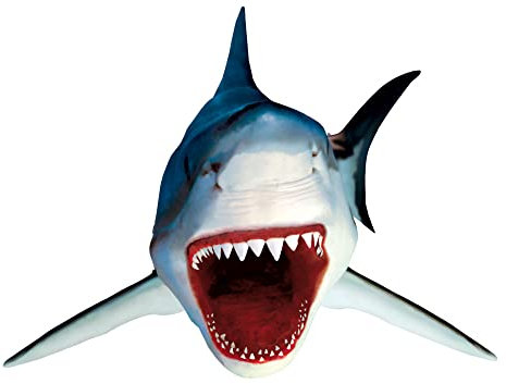 1art1 Haifische Weißer Hai Wand-Tattoo | Deko Wandaufkleber für Wohnzimmer Kinderzimmer Küche Bad Flur | Wandsticker für Tür Wand Möbel/Schrank 100x98 cm